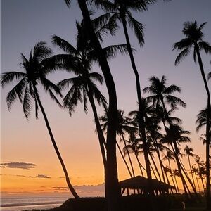 Meet your Posher, Christie